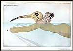 Michel Lablais: Radierung Ibis-Mann Schwimmsport Vogelmensch, signiert