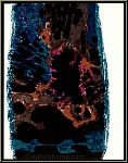 Alfred Manessier: Farblithographie 
